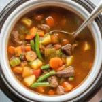 Crockpot Vegetable Beef Soup (full of flavor!)